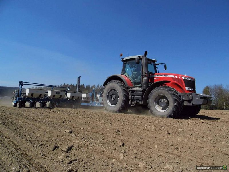 كۇزگى مول استىقتىڭ كوكتەمدە كوپ تىرلىگى بار