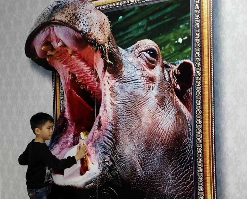 اتىراۋدا 3D فوتوسۋرەتتەر كورمەسى اشىلدى