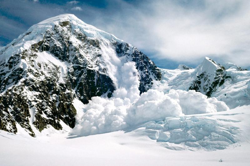 الماتىدا قار كوشكىنى بولدى