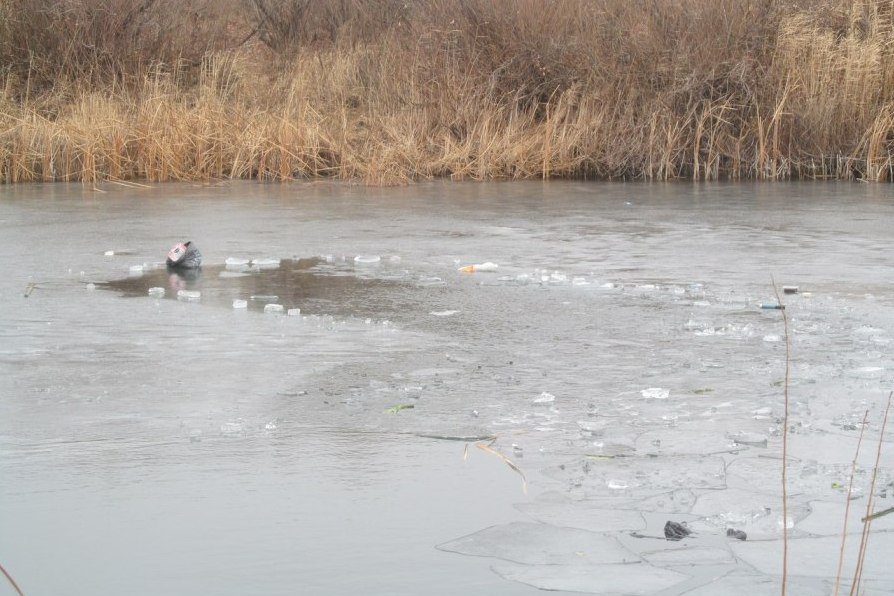 كوكتەمگى مۇزعا شىقپاڭىزدار!