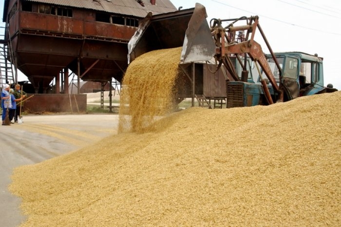 بىرىكپەي ءىس بىتپەيدى