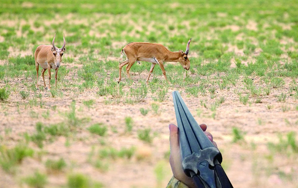 براكونەردىڭ ءبارى  باتىس قازاقستاندا جۇرگەندەي...