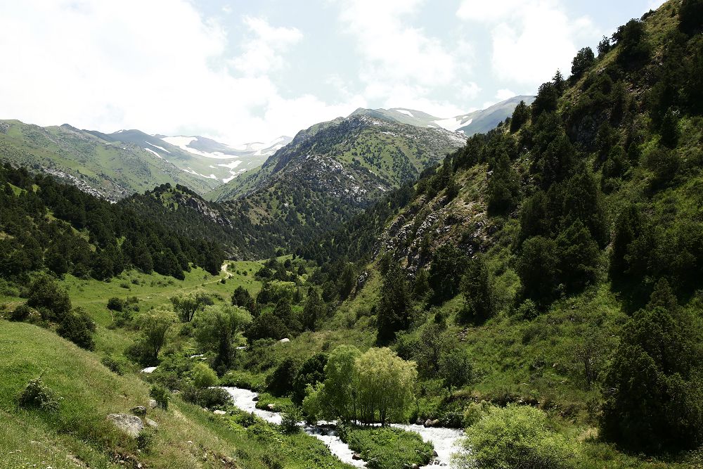 تۋريزم وڭتۇستىككە تۋ تىگەدى