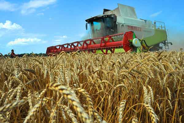 ەۋرازيانىڭ "استىق سەبەتىنە" اينالا الامىز با؟