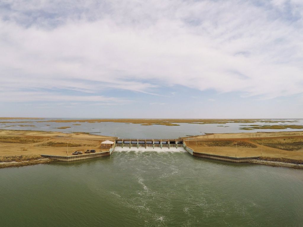 تىرشىلىكتىڭ تۇماسى