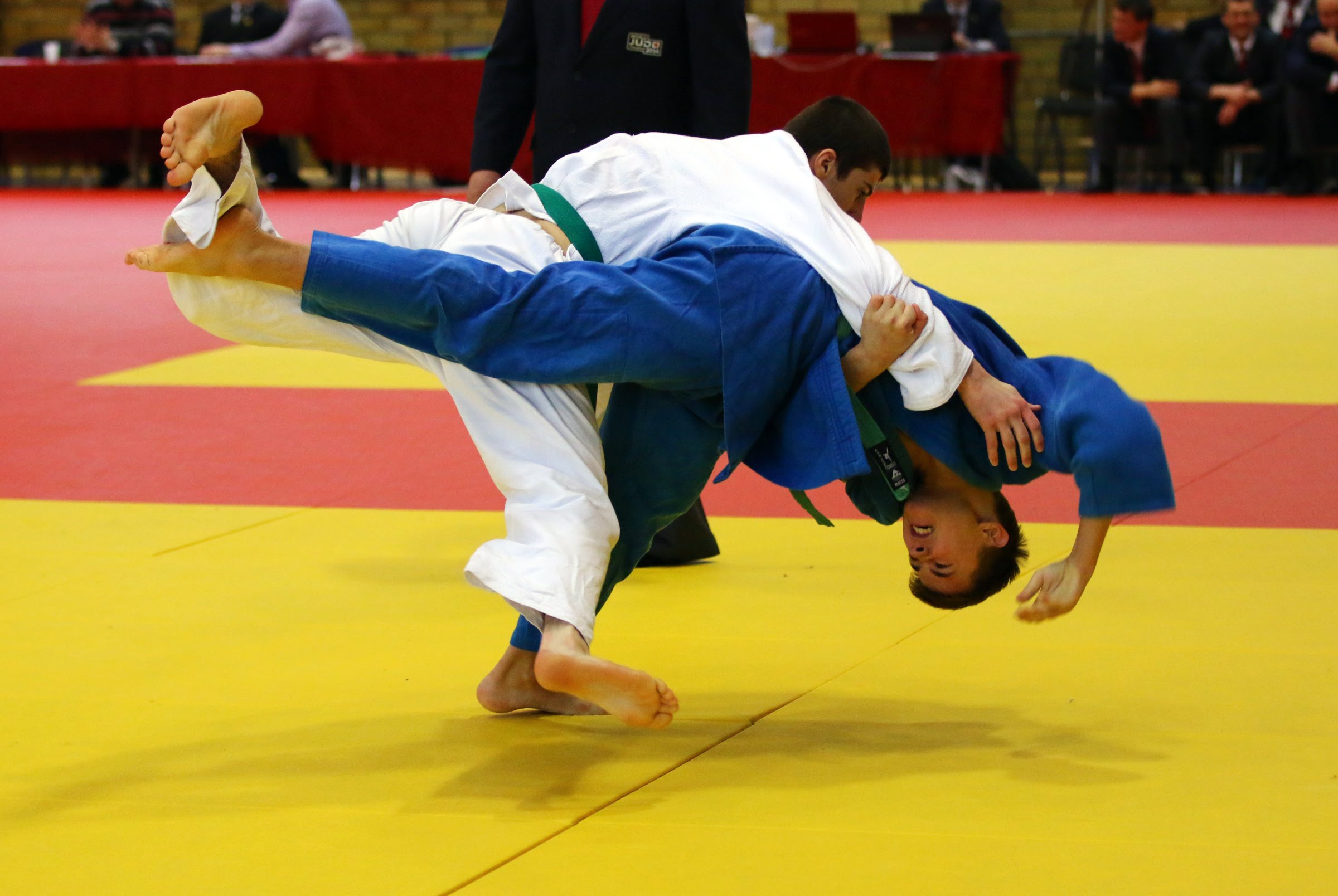 ​الماتىدا دزيۋدودان حالىقارالىق تۋرنير وتەدى