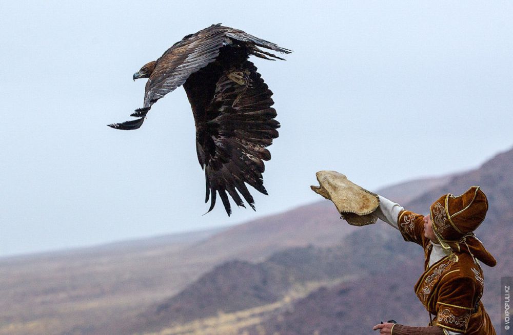 اڭشىلىق تۋريزم – تابىس كوزى