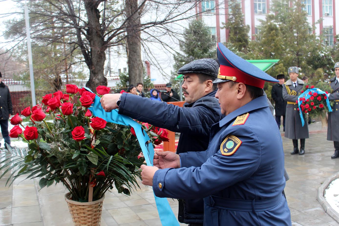 تولەبي اۋدانىندا 10 مىڭ ءتۇپ جەمىس اعاشتارىن وتىرعىزۋ باستالدى