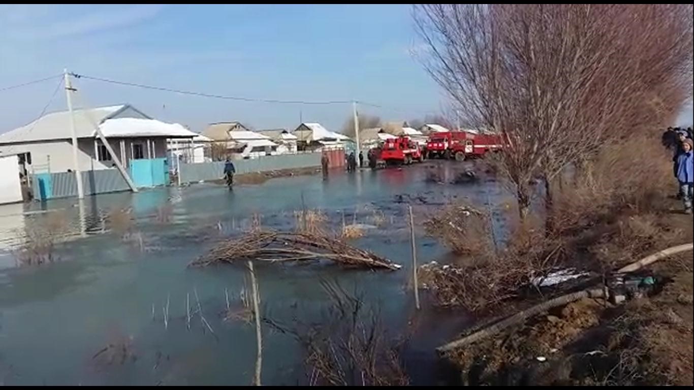 ماقتاارالدا كانالداردى تازالاۋ جۇمىستارى جۇرگىزىلۋدە