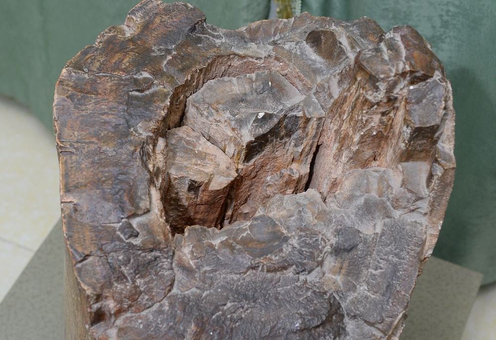 تاسقا اينالعان اعاش