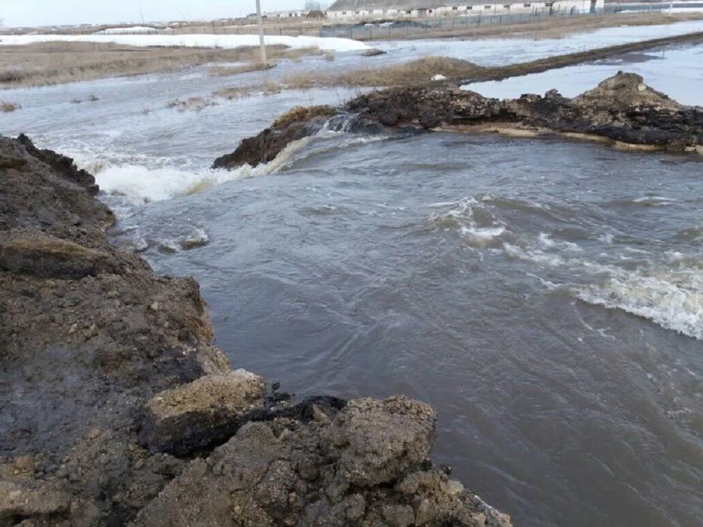 قاۋىپتى ايماقتار قاتاڭ باقىلاۋدا