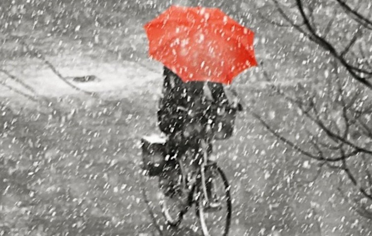 بۇگىن اۋا رايى قۇبىلمالى بولادى