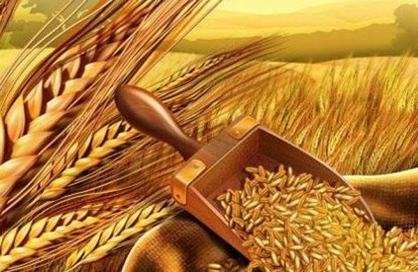 وتاندىق ونىمدەر ءىرى كولەمدە شەتەلگە ەكسپورتتالادى