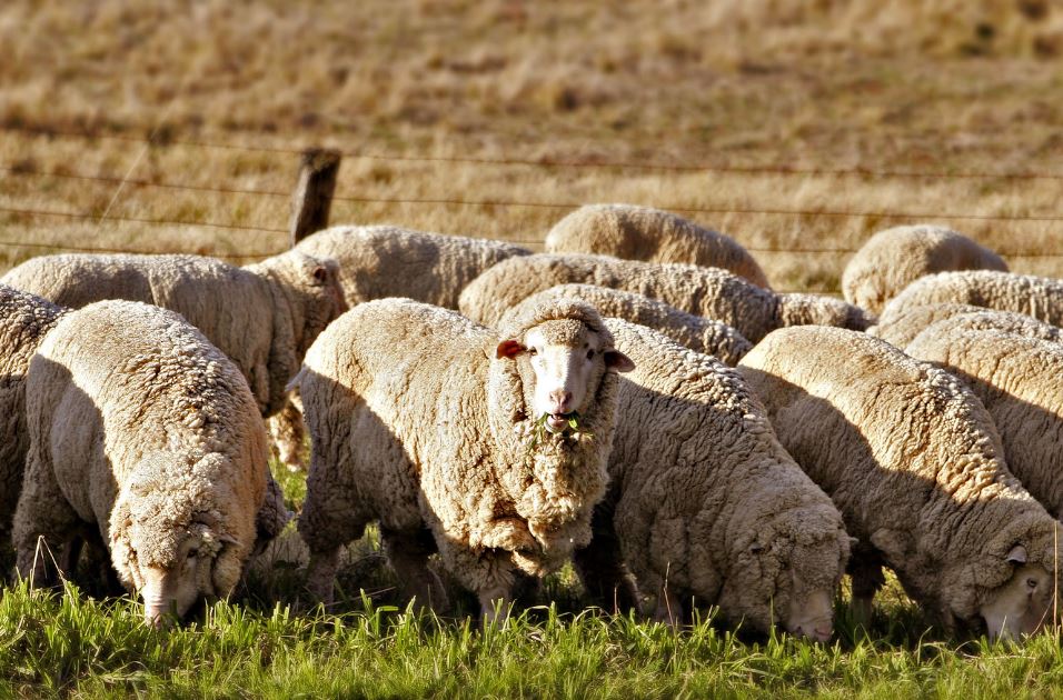 بارىمىزدى قاشان ۇقساتامىز؟