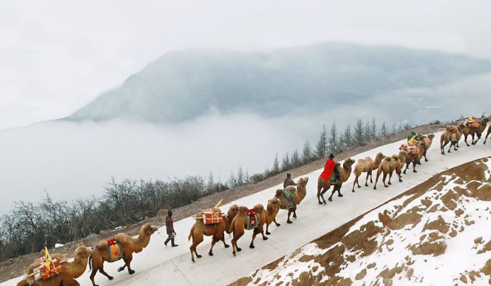  ۇلى جىبەك جولىن كورەم دەسەڭىز