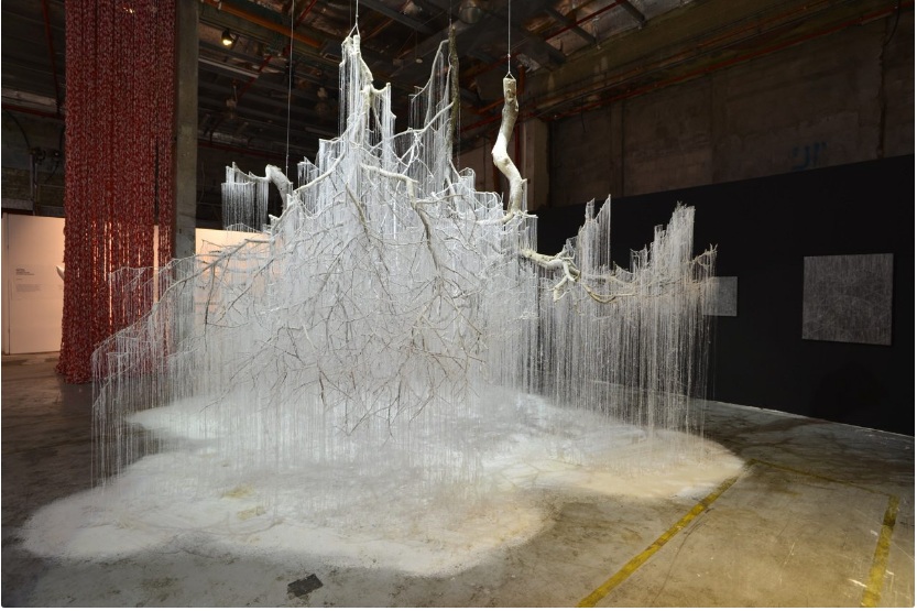 ياسۋاكي ونيشي: اق پەن قارا