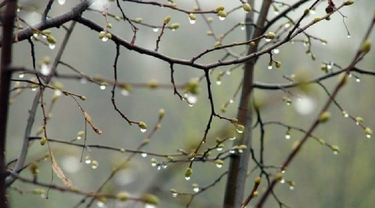 بۇگىن ەلىمىزدىڭ باسىم بولىگىندە جاۋىن جاۋادى