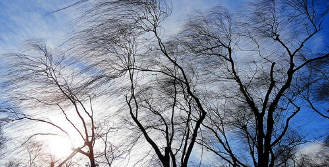 بۇگىن قازاقستاننىڭ باسىم بولىگىندە جەل كۇشەيەدى