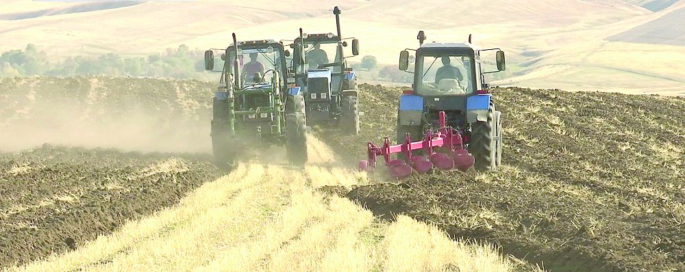 قازاق – قاشاندا قازاق! (17.04.2017)