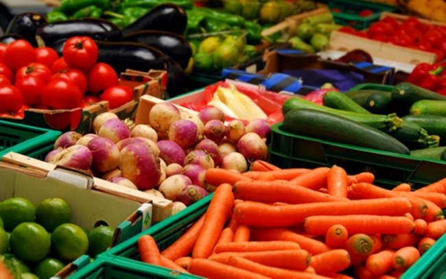 استانادا جامبىل وبلىسىنىڭ اۋىل شارۋاشىلىق جارمەڭكەسى وتەدى