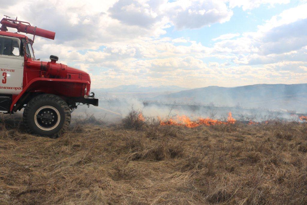 وسكەمەندە 20 گەكتار جەر ورتكە وراندى 
