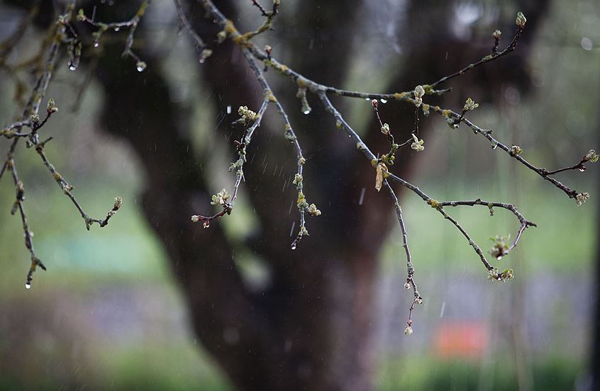 قازاقستاننىڭ كەي وڭىرلەرىندە جاڭبىر جاۋادى