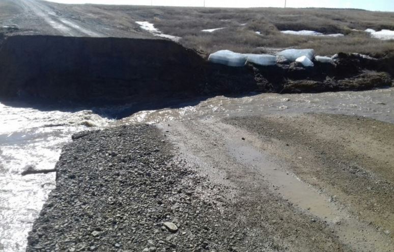 الدىمەن مال شىعىنى وتەلەدى