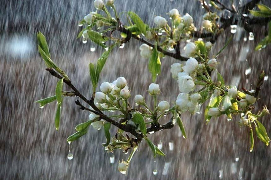 21-24 ءساۋىر كۇندەرى ەلىمىزدىڭ باسىم بولىگىندە كوپ مولشەردە جاۋىن جاۋادى