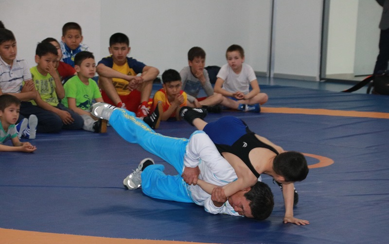  جاقسىلىق اعا جاستارعا سەنەدى