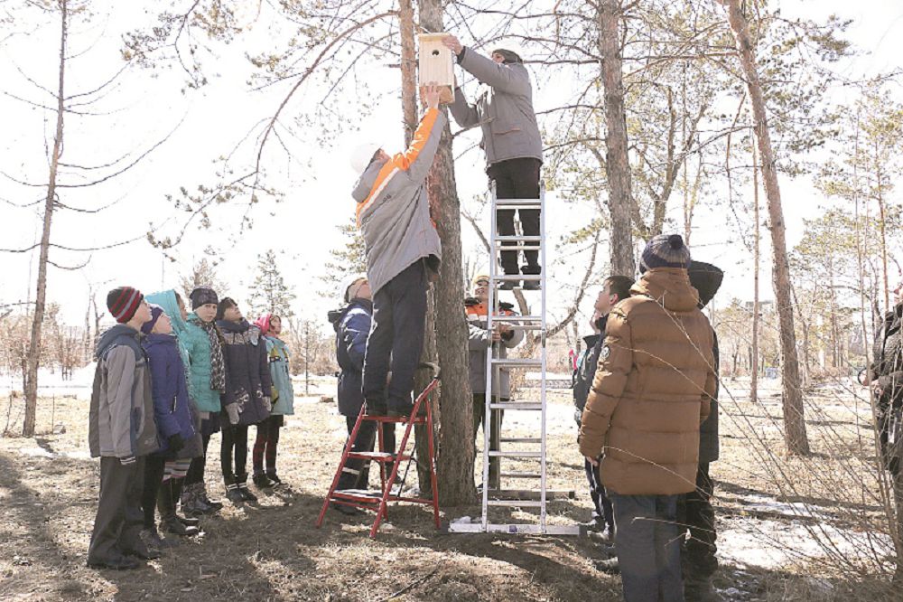 قۇستارعا ارنالعان ۇيا