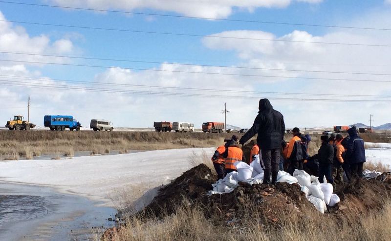 ادامدار ۇيلەرىنە ورالا باستادى