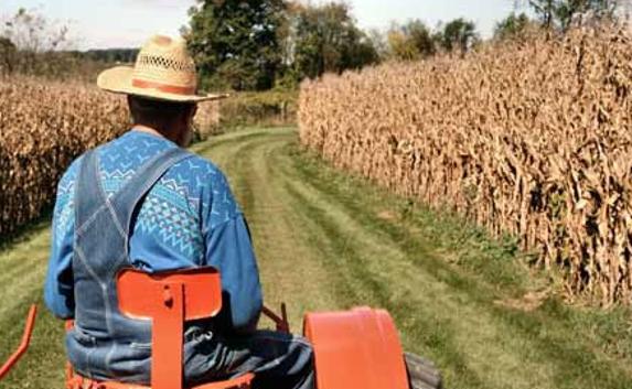 اۋىل شارۋاشىلىعى شاعىن شارۋالاردىڭ ارقاسىندا دامىپ وتىر