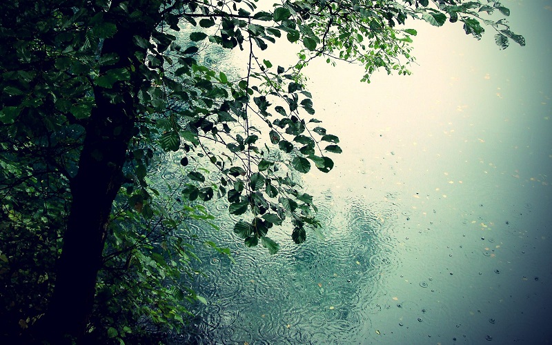 قازاقستاننىڭ باسىم بولىگىندە جاڭبىر جاۋادى