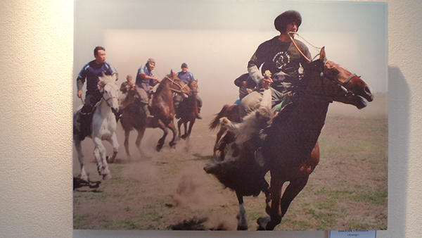 ​قوستانايدا «تابيعات جانە كوشپەلىلەر مادەنيەتى» سۋرەت كورمەسى اشىلدى 