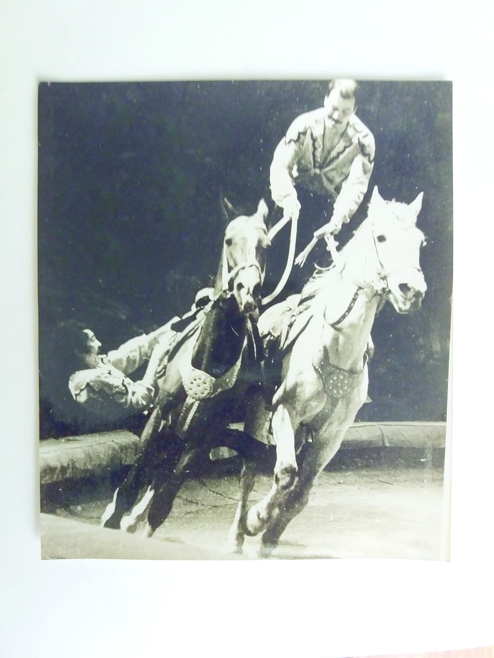 تريۋك ورىنداعان تارلاندار