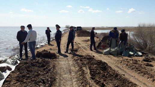 سەناتور سۋ تاسقىنىنان زارداپ شەككەن ەلدى مەكەندەردى ارالادى