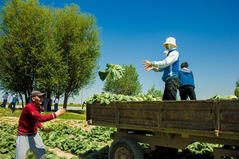 ماقتاارالدىق قىرىققاباتتىڭ العاشقى لەگى رەسەيگە جونەلتىلدى