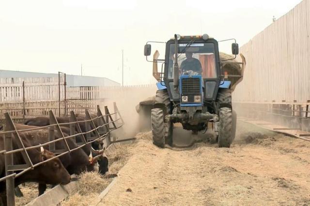 اگروسەكتور: توقسان قورىتىندىسى نە دەيدى؟