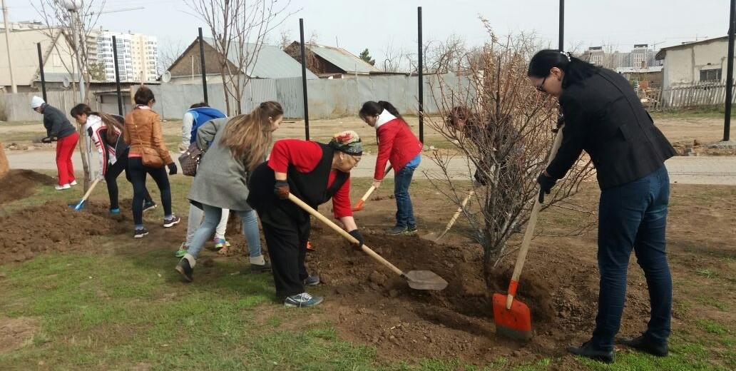 استانادا جالپىقالالىق سەنبىلىك باستالدى