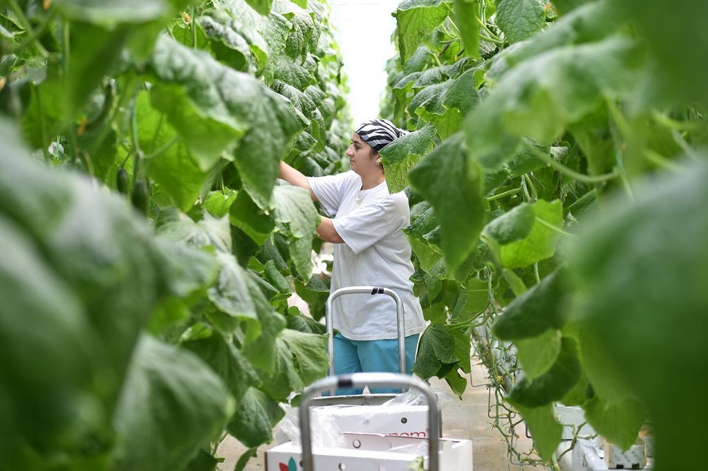 كووپەراتيۆتەر –  اۋىل شارۋاشىلىعىنىڭ وزەگى