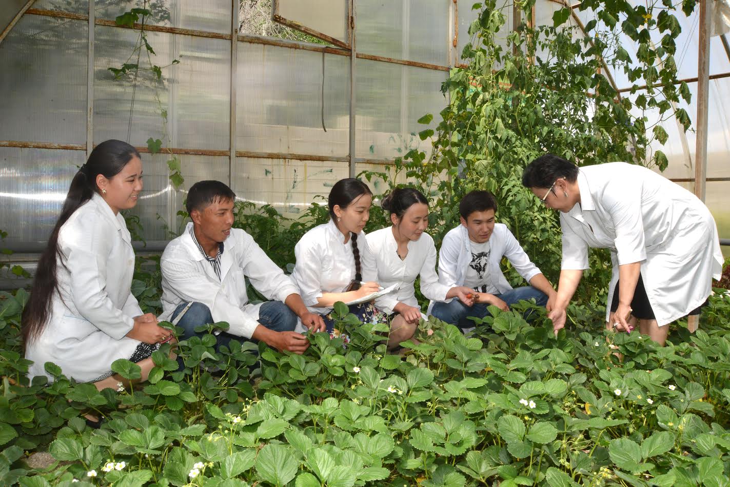 تارازدىق ستۋدەنتتەر تابيعي قۋات كوزدەرىن جىلىجاي ونەركاسىبىندە  قولدانباق