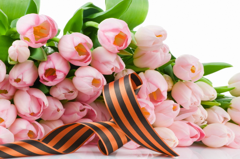 وسكەمەندە 30 ارداگەرگە 500 مىڭ تەڭگەنىڭ سەرتيفيكاتتارى تاپسىرىلدى