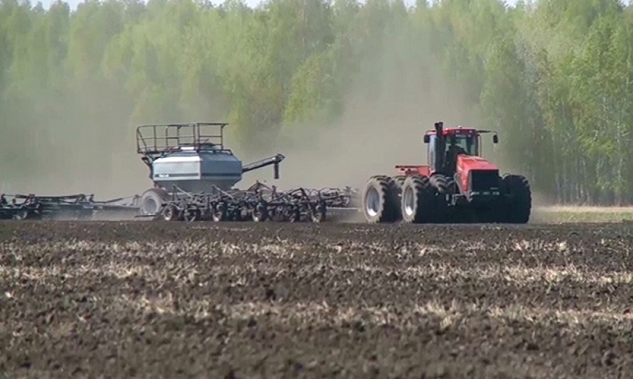 وڭتۇستىكتە ەگىس ناۋقانى اياقتالىپ قالدى