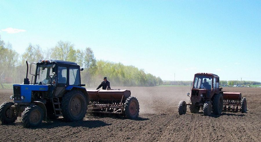 دايىندىقتا دامىلداۋ جوق