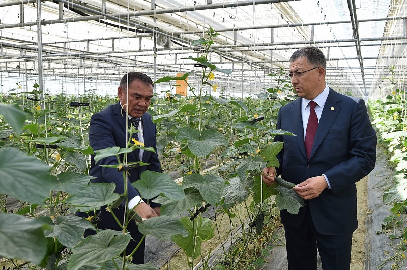 وڭتۇستىكتە جىلىجايلار كولەمى كوبەيىپ كەلەدى