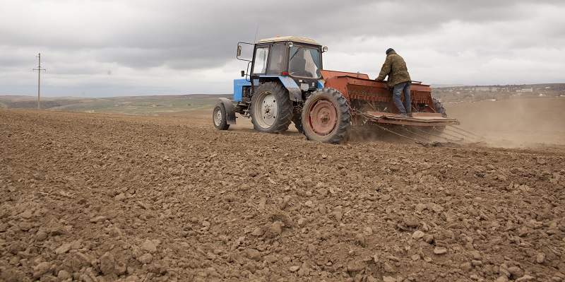 سولتۇستىك قازاقستان ديقاندارى كوكتەمگى ەگىس ناۋقانىنا جاپپاي كىرىستى