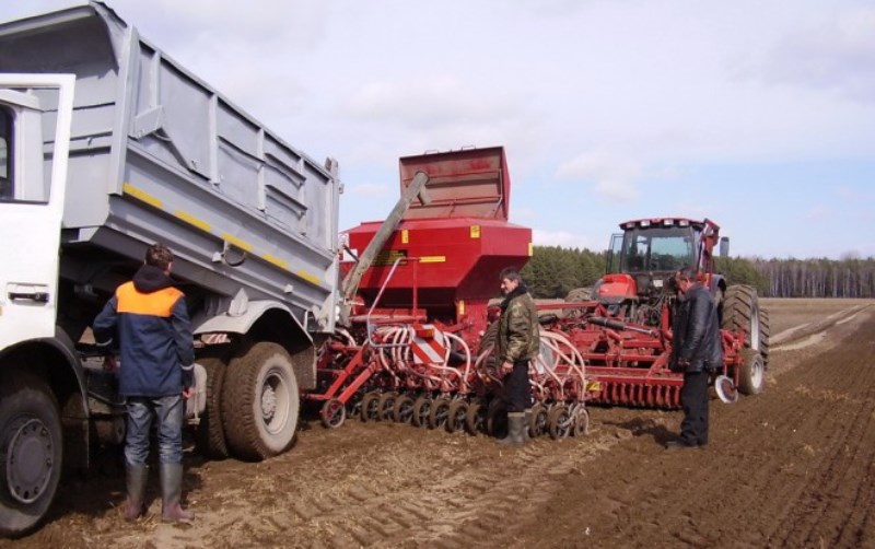 قىرداعى قاربالاس