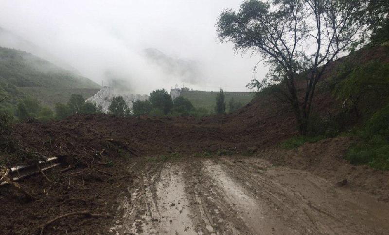 الماتى وبلىسىندا لاي كوشكىنى ءجۇردى