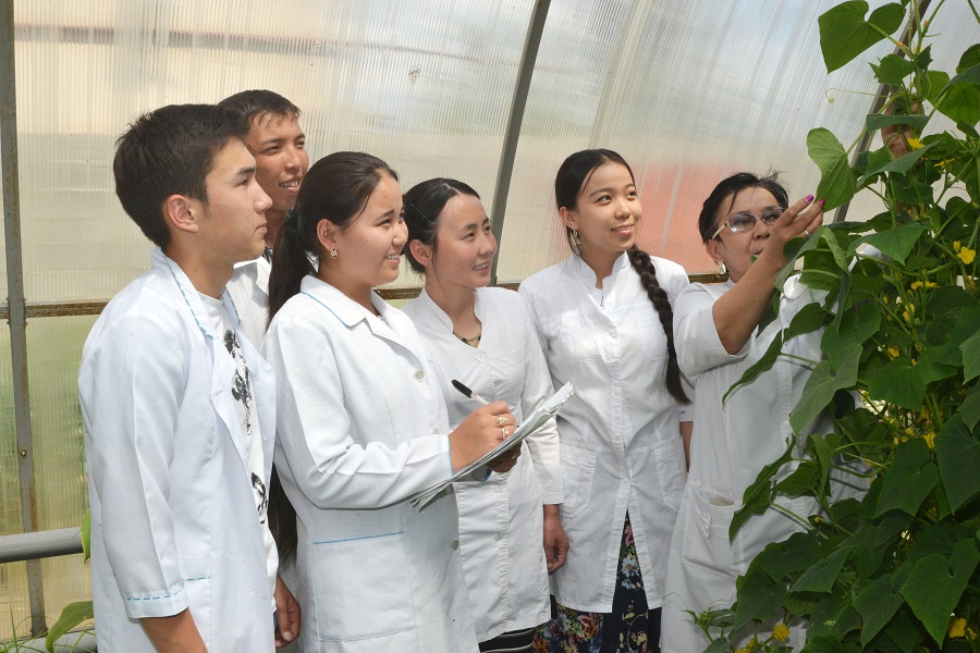 تارازدىق ستۋدەنتتەر جىلىجايدا دارىلىك وسىمدىكتەر وسىرۋدە