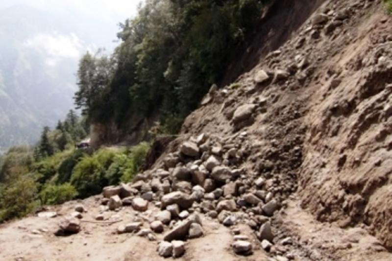 تالعار اۋدانىندا لاي كوشكىنى بولدى